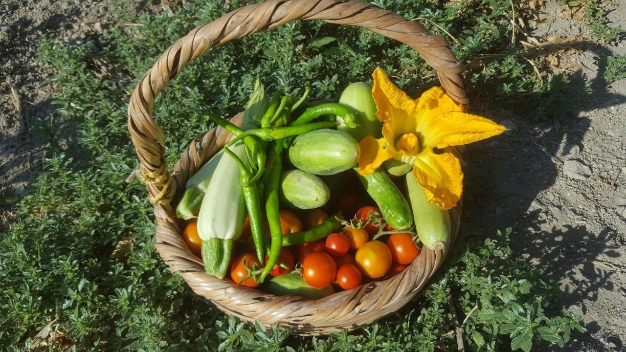 La Medusa Gardens Iskele District  Εξωτερικό φωτογραφία