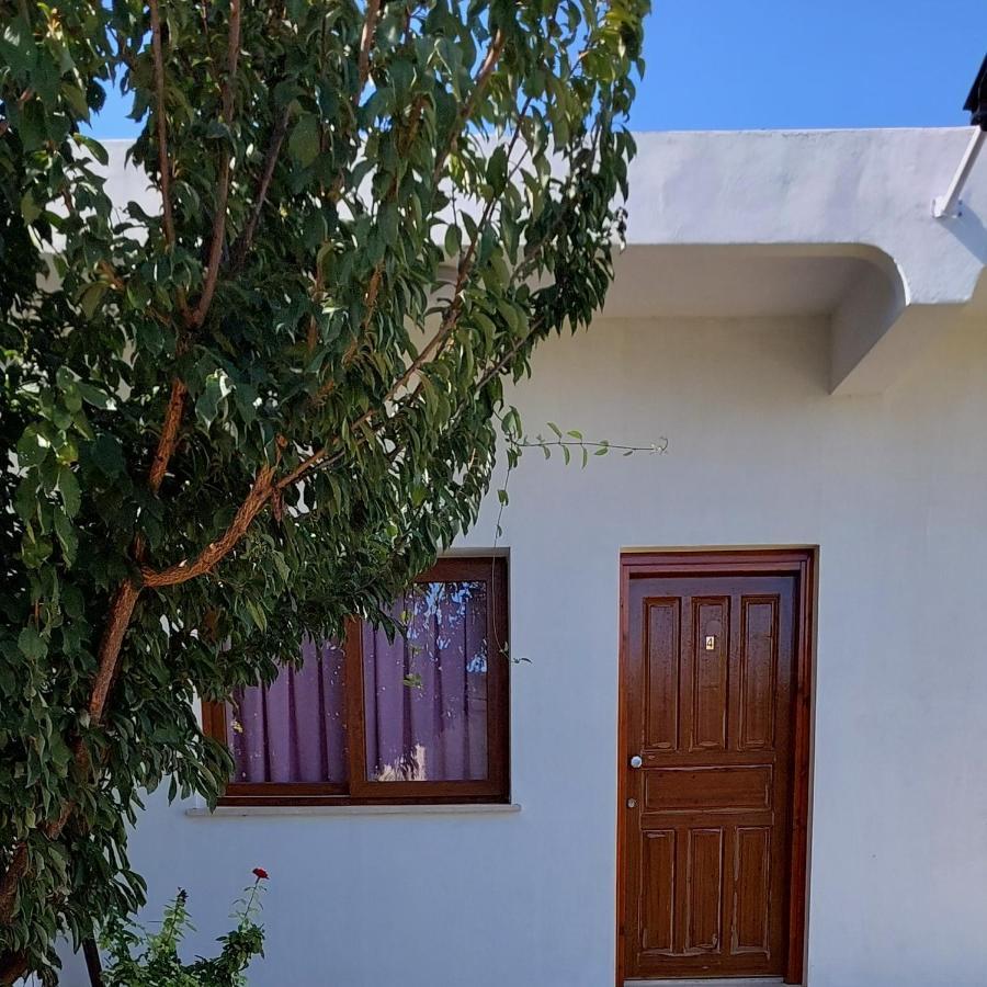 La Medusa Gardens Iskele District  Εξωτερικό φωτογραφία