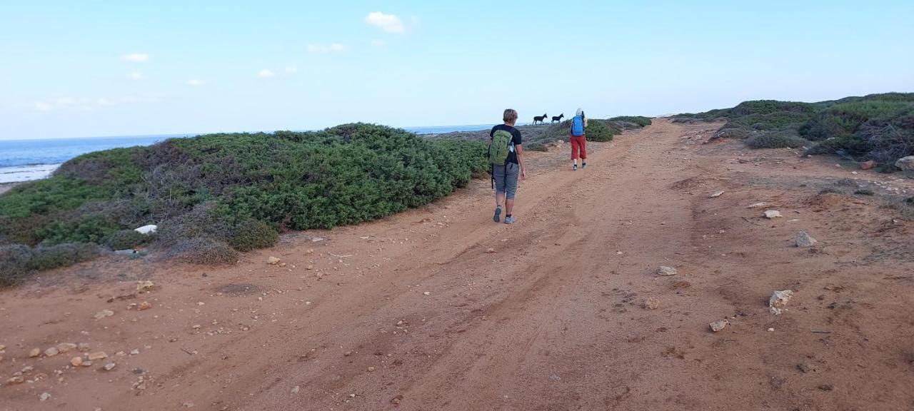 La Medusa Gardens Iskele District  Εξωτερικό φωτογραφία