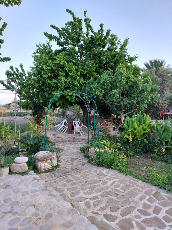 La Medusa Gardens Iskele District  Εξωτερικό φωτογραφία